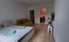 Apartament u Krzyżaka